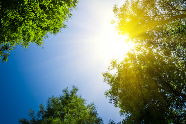 Жара возвращается: центр России ждет потепление к середине июля