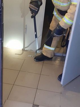 В Башкирии семья обнаружила в ведре с картошкой ядовитую змею