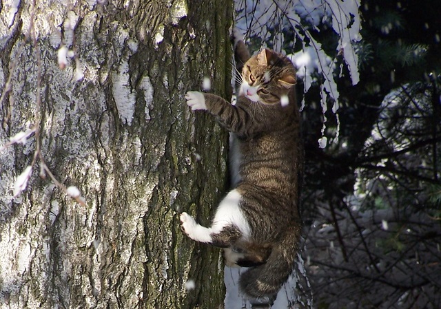 Потепление до +9 градусов вперемешку с сильной непогодой обрушатся на Татарстан