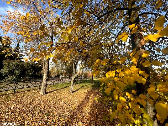 Холода не за горами: Гидрометцентр Татарстана анонсировал изменения в погоде