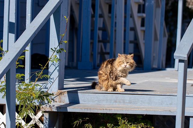 В середине последней июньской недели в Татарстане похолодает до +8 градусов
