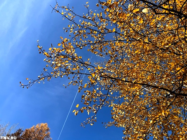 Пуховики доставать рано: до ноября зимы в центре РФ не будет