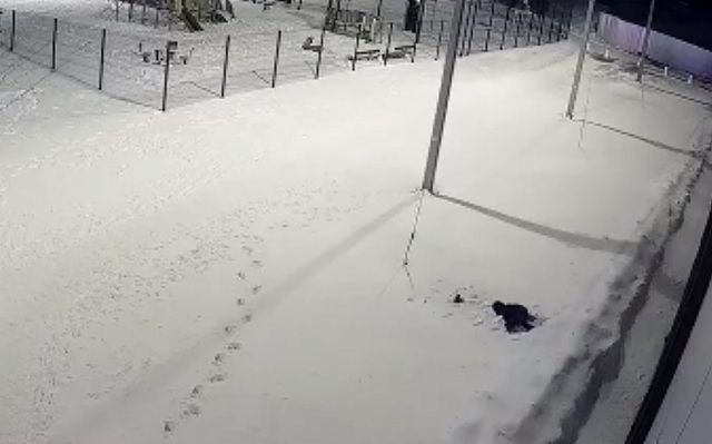 В Уфе попал на видео момент падения ребенка с 12 этажа