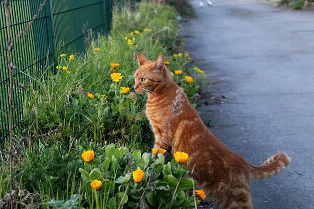 13 май Татарстанда яшен көтелә