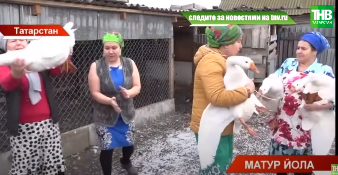 Татарларның матур йоласы хәзер дә сакланамы?