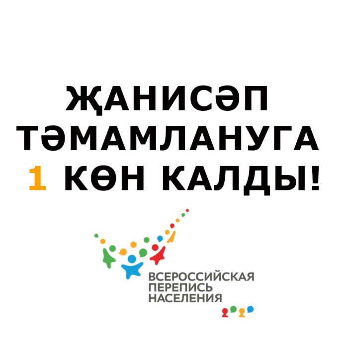 Бөтенроссия халык санын алу тәмамлануга 1 көн калды