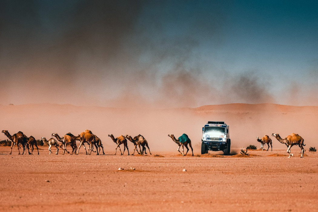 «Дакар»-2022: итальянский гонщик признался, что хотел убить верблюда