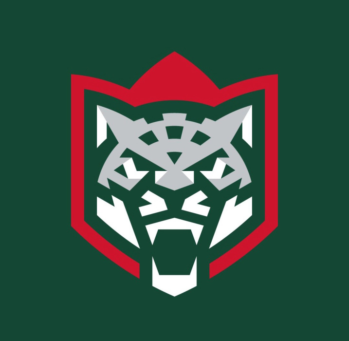 ХК «Ак Барс» представил новый логотип