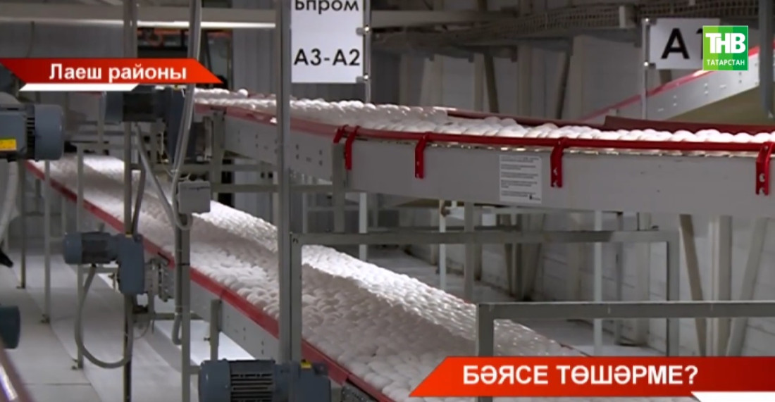 Йомырка бәясе кайчан төшәчәк?