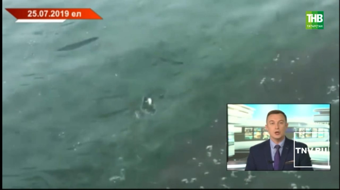 Идел һәм Казансу елгаларының урыны белән яшелле-зәңгәр төскә керү сәбәбе ачыкланды