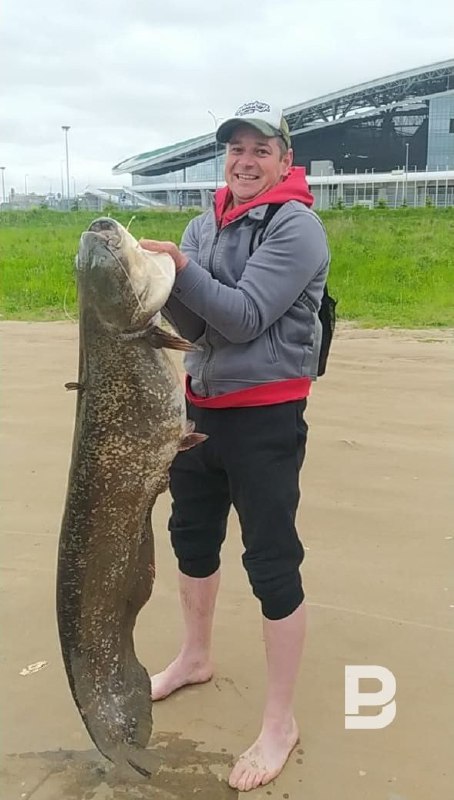 Казансу елгасында гигант җәен балыгын тотканнар (ФОТО).