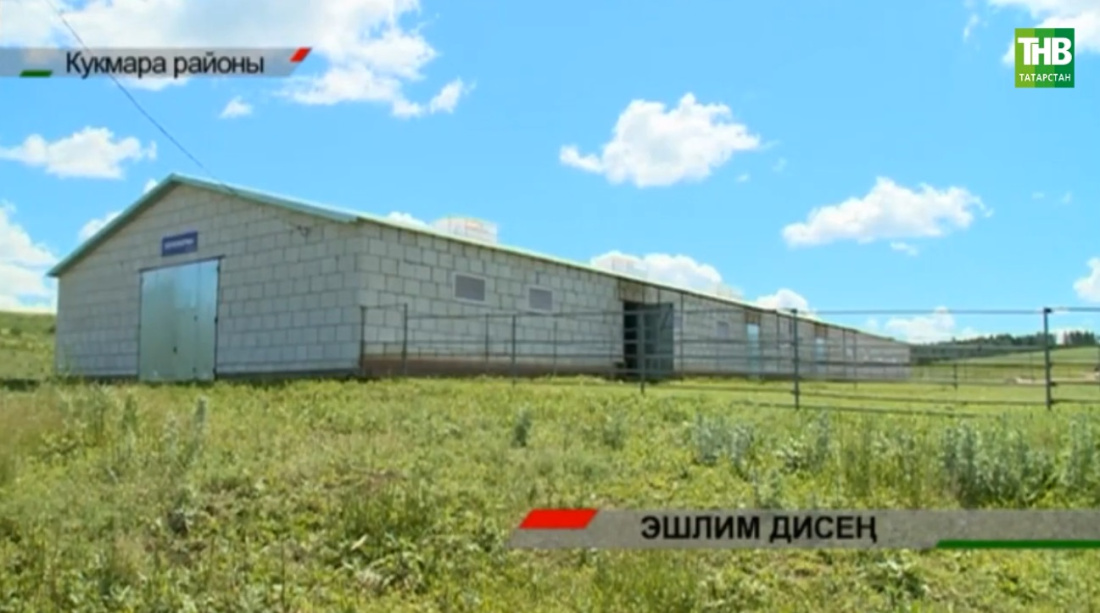 Кукмара районында дәүләттән грант алып ат үрчетергә җыенган фермер белән гауга килеп чыга