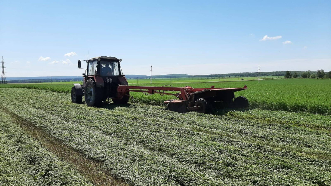 Терлекләргә азык әзерләү буенча алга киткән һәм артта калган районнар билгеле - исемлек