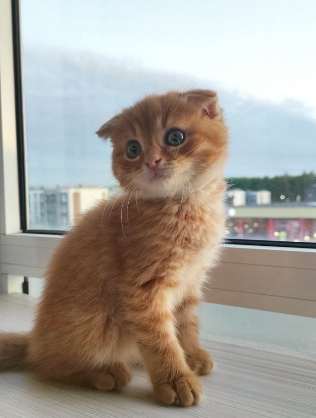 8 июль Татарстанда +32 градуслы эссе һава көтелә