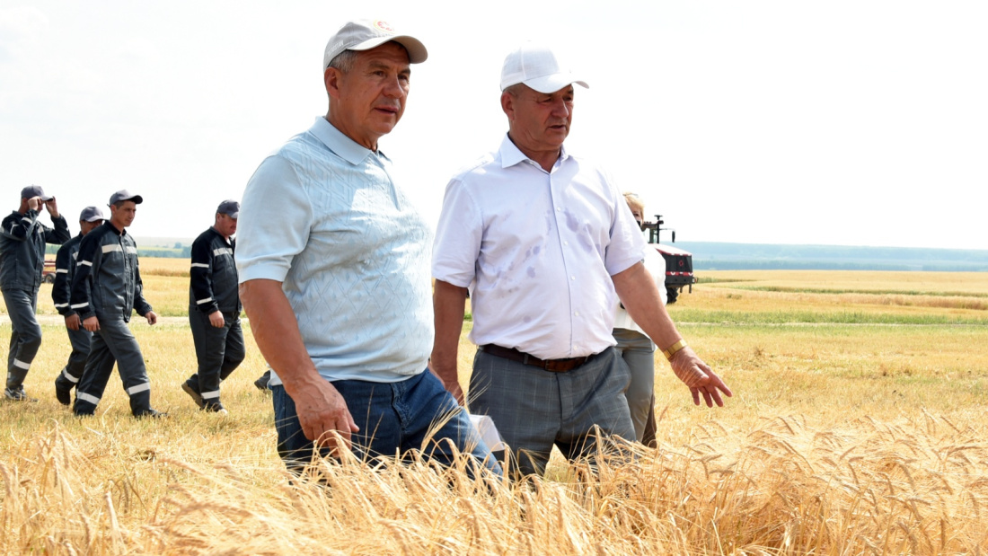 Рөстәм Миңнеханов Татарстанның өч районында урып-җыю эшләре белән танышты