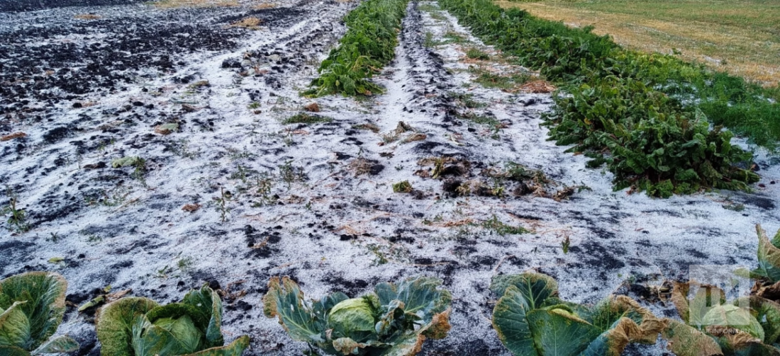 Татарстанда боз яуган