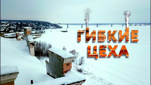 "Гибкие цеха" документальный фильм Михаила Любимова - 7 Дней.