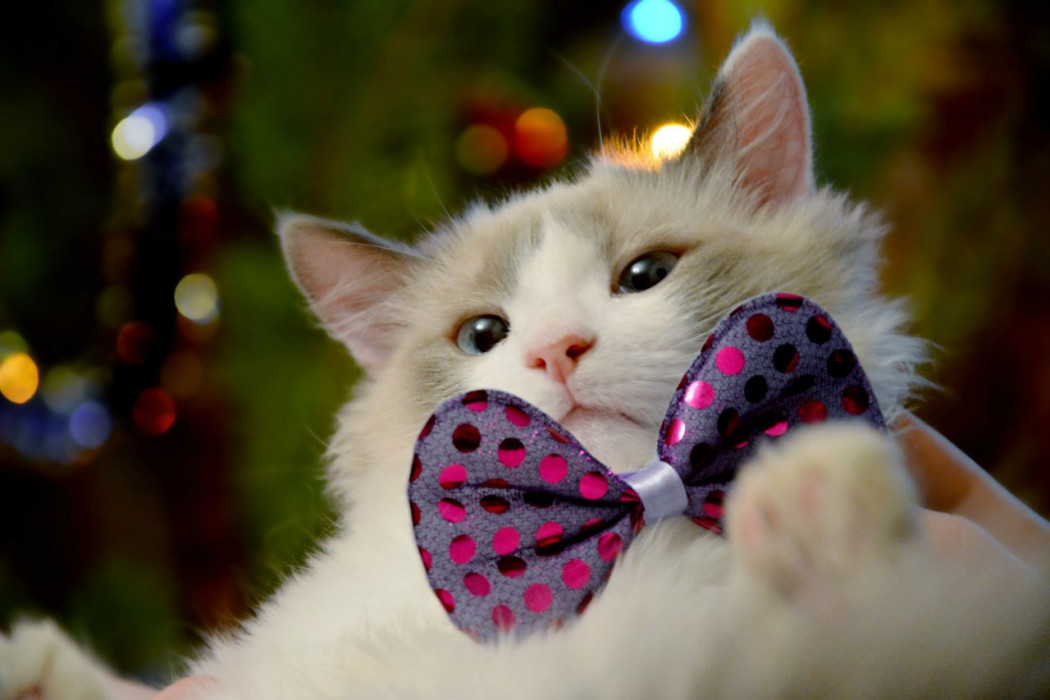 28 декабрь Татарстанда -19 градуска кадәр суытачак