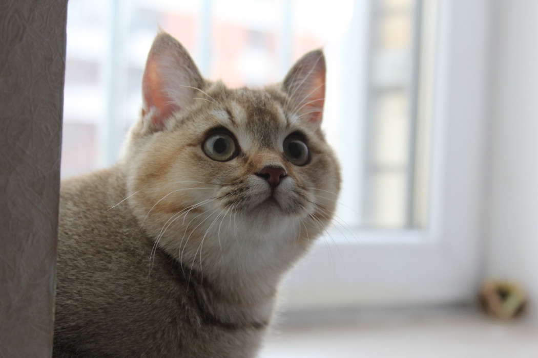 Яллар башында Татарстанда көчле җил көтелә