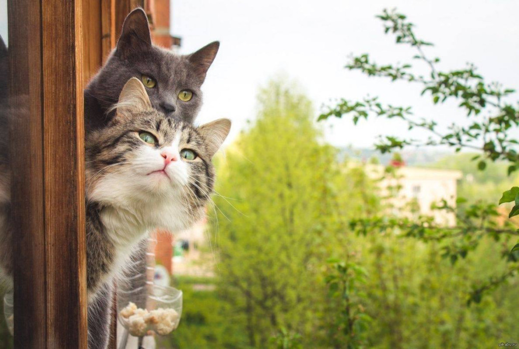 Татарстанда кайчан яңгыр явачагын фаразладылар