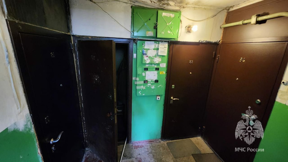 Казанда 68 яшьлек хатын үз фатирында диванда янып үлгән