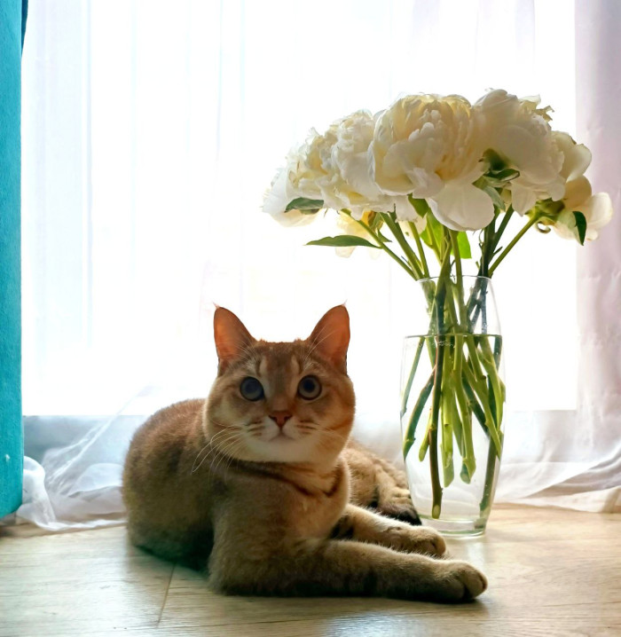 Җәйнең беренче көнендә Татарстанда болытлы булачак