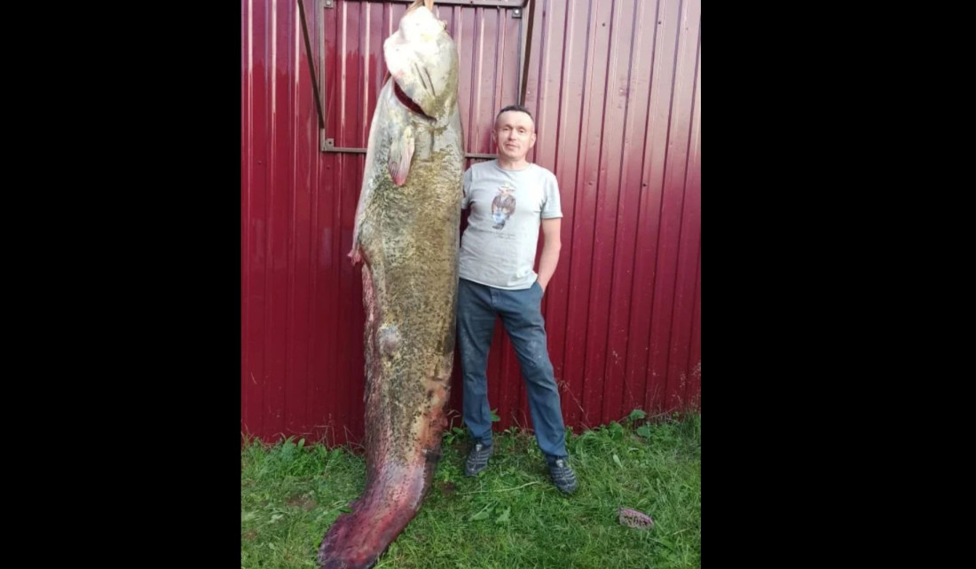 Татарстанда бер балыкчы 104 килограммлы җәен балыгын тоткан