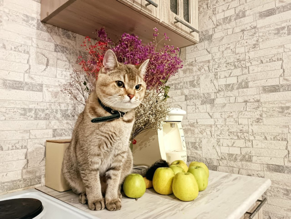 20 июньдә Татарстанның кайбер районнарында яңгыр яварга мөмкин