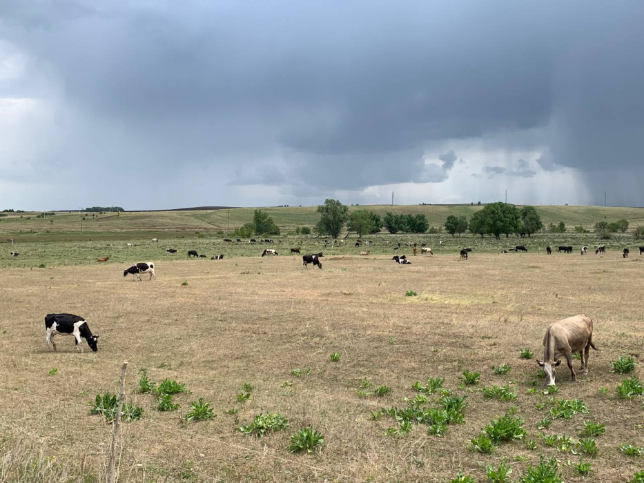 Татарстанда нигә яңгыр яумый? Метеоролог җавабы