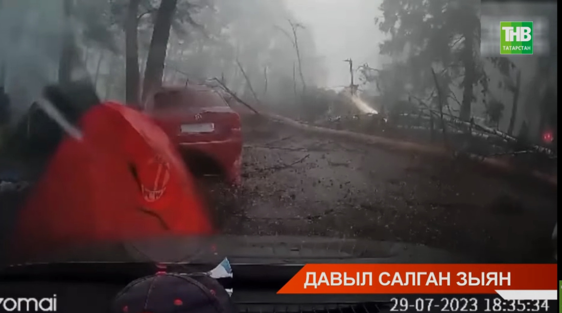 Коточкыч давыл салган зыян - видео