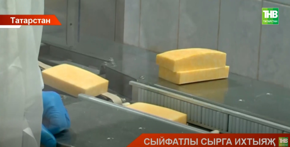 Россиядә сыр җитештерү күләме 17 процентка арткан - видео