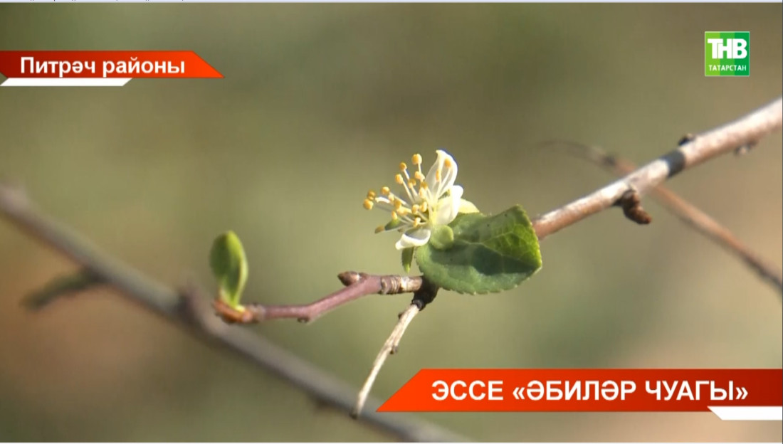 "Җәйге көз": җылылык кайчанга кадәр сузылыр?