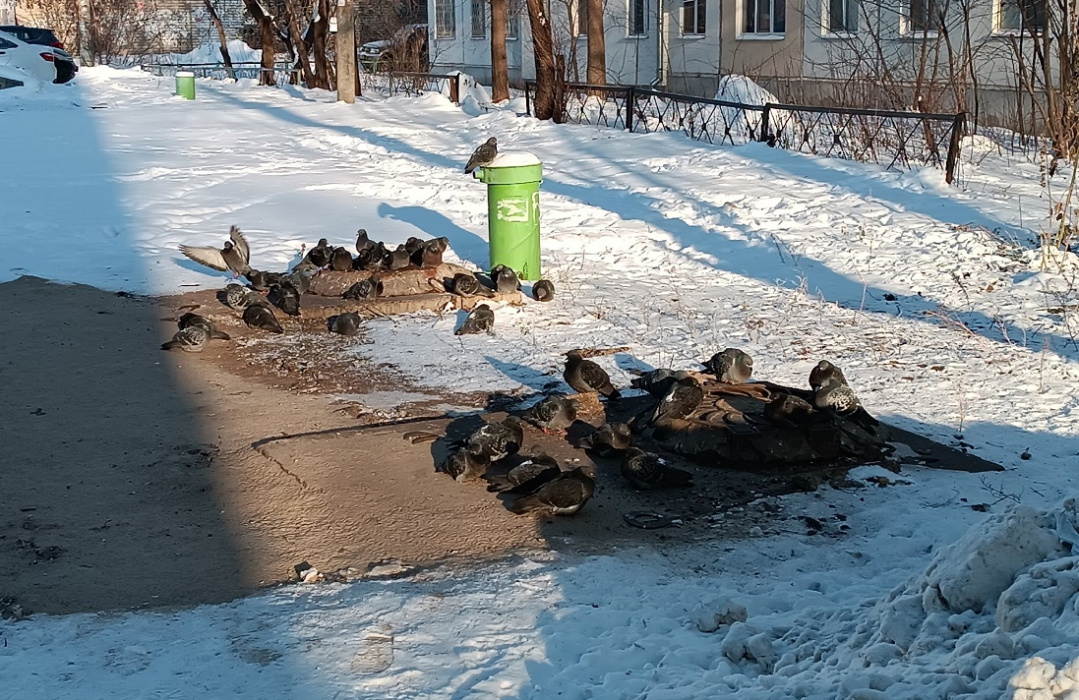 -40 градус! Зәмһәрир суыклар китәргә җыенмый!