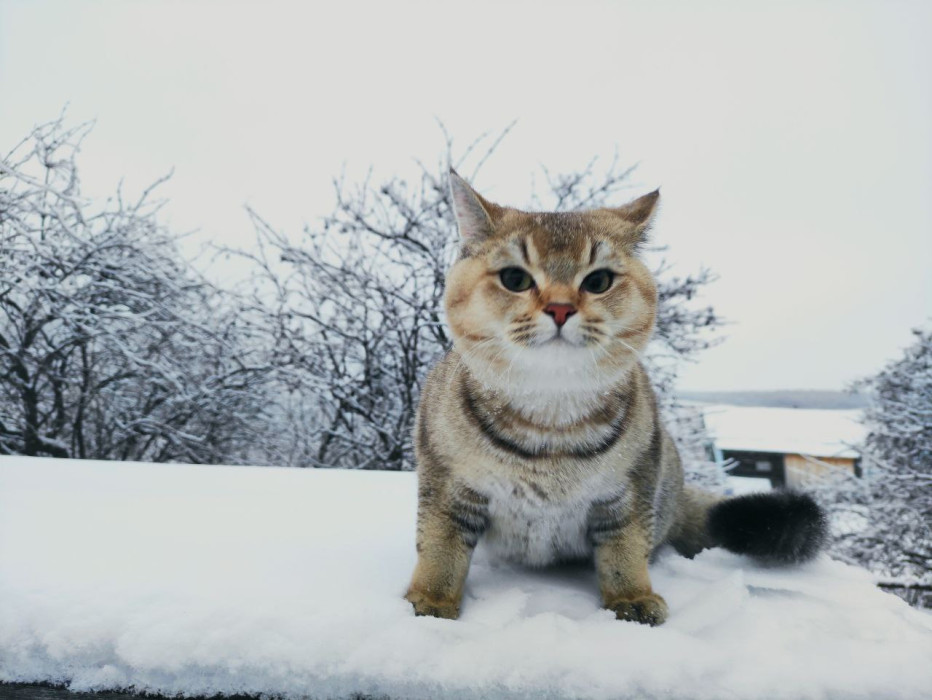 Кар бураннары кире кайта: 13 февральгә һава торышы