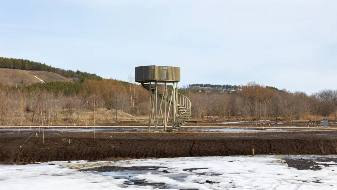 В Альметьевске откроется смотровая площадка для наблюдения за птицами