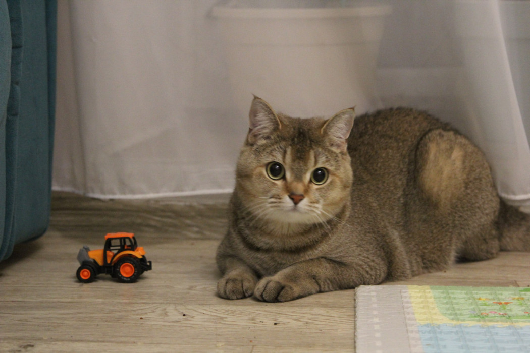 Иртәгә Татарстанда көчле җил һәм +28 градус эссе көтелә