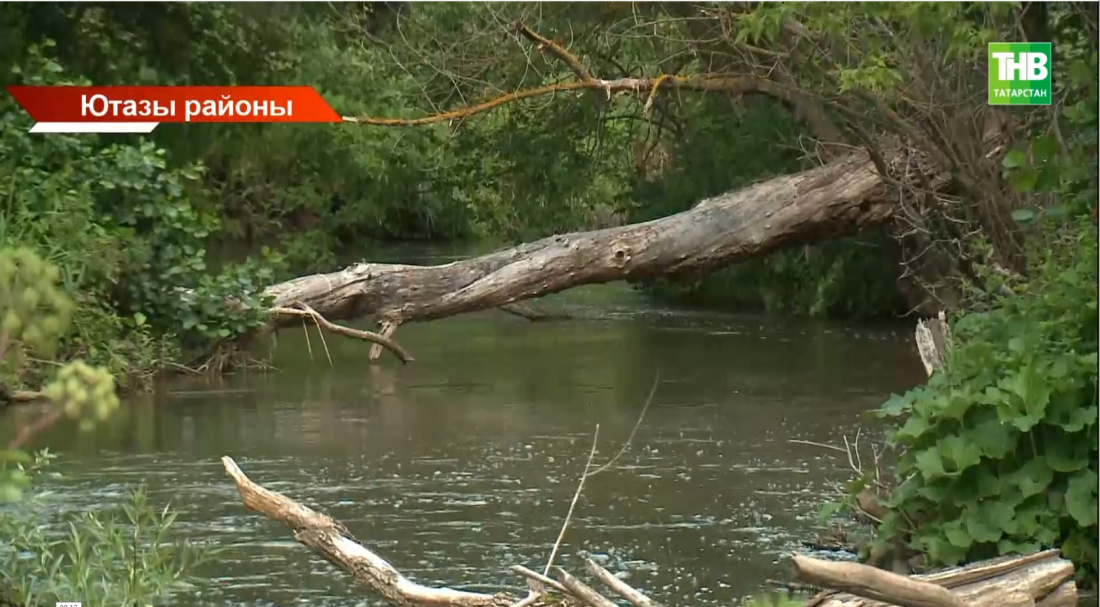Халык Баулы белән Ютазы аша агучы Дим елгасының пычрануыннан зарлана