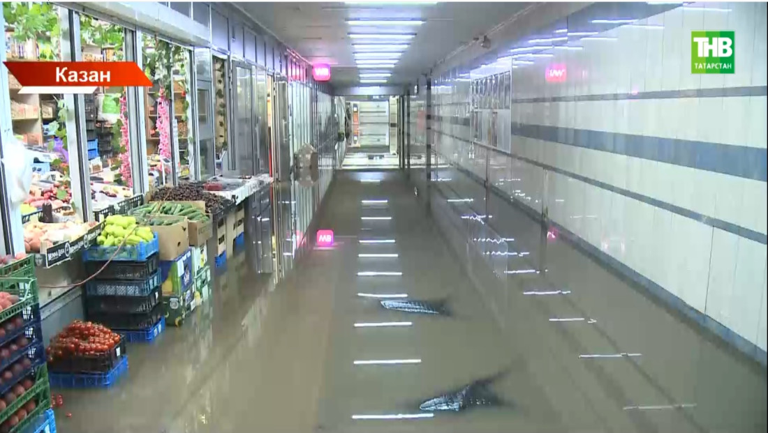 Татарстанда җәй: машиналар йөзеп йөри, кырларны су баса, эшмәкәрләр чыгымын саный