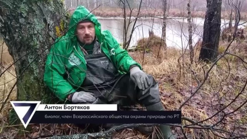 7 дней - выпуск 23.11.2025