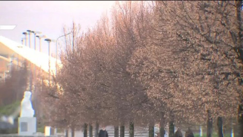 Неделя до зимы: каким будет последний аккорд ноября в Татарстане