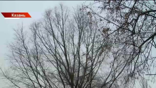 Аномально тёплая погода в Татарстане