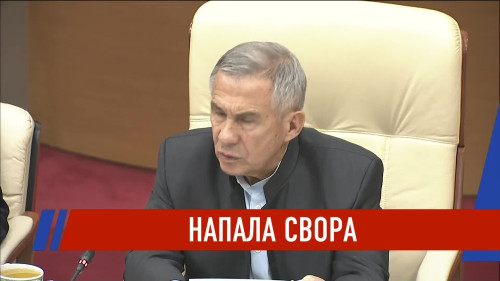 Новости Татарстана - выпуск 29.11.2025