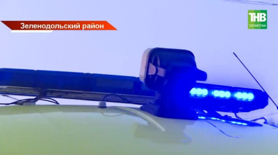 Трагедия потрясла весь Татарстан: растерзанная псами девочка в реанимации, Минниханов потребовал жестких мер