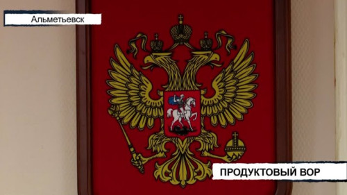 Регулярный доход превратился в срок: как вор продуктов попал под суд в Альметьевске ⚖️