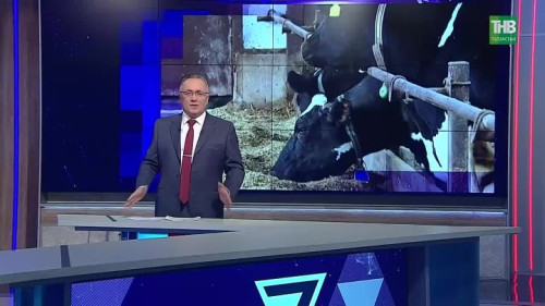 От разорения к успеху: формула богатого ЛПХ из Кукмора