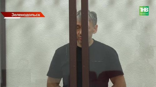 После нападения собак на девочку задержан депутат, отвечавший за отлов животных