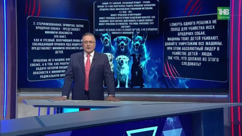 Трагедия в Васильево: следственные действия продолжаются, споры с зоозащитниками обостряются