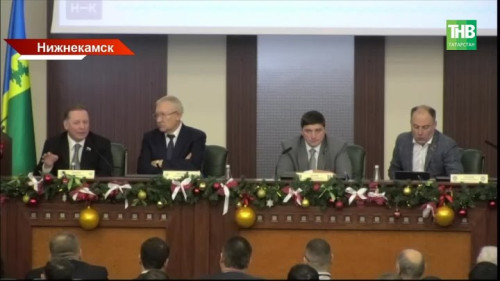 Власти Татарстана анонсировали поправки в закон о бродячих собаках