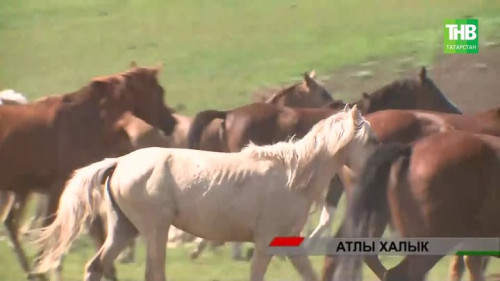 Яңа ел символы: халкыбыз язмышында Ат образы