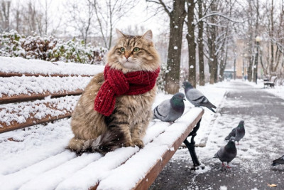 Ледяной щит: морозы под -30 градусов охватят Татарстан в конце недели